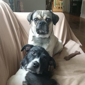 Meet your Posher, Beth